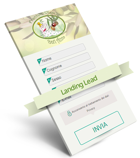 landing page tipologia: lead